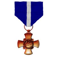 navycross_shimmer_hr.jpg