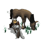 knight_napping_horse__a_sw.gif