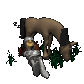 knight_napping_horse__a_sc.gif