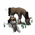 knight_napping_horse__a_mw.gif