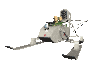 solviet_aerosan_soldi_a_sc.gif