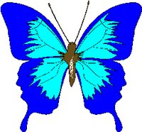 BUTTFLYC.WMF