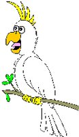 COCKATOC.WMF