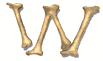 w_mw.gif