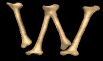 w_mb.gif