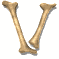 v_mw.gif