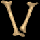 v_mb.gif