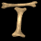 t_mb.gif