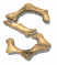 s_mw.gif