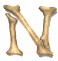 n_mw.gif