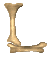 l_mc.gif