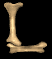 l_mb.gif