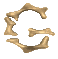 g_mc.gif