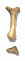 exc_mw.gif