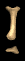 exc_mb.gif