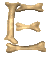 e_mc.gif