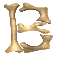 b_mc.gif