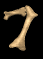 7_mb.gif