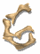 6_mw.gif