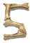 5_mw.gif