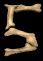 5_mb.gif
