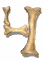 4_mw.gif