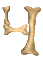 4_mc.gif