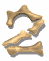 2_mw.gif