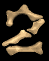 2_mb.gif