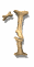 1_mw.gif
