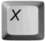 x_lw.gif