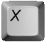 x_lc.gif