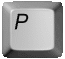 p_lc.gif