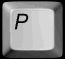 p_lb.gif