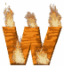 w_mw.gif