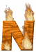 n_mw.gif