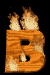 b_mb.gif