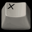 x_lb.gif
