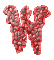 w_mc.gif