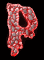 p_mb.gif
