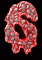 6_mb.gif