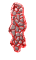 1_mw.gif