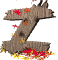 z_mw.gif