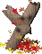 y_mc.gif