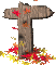t_mc.gif