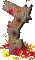 questmark_mc.gif