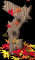 questmark_mb.gif