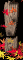exc_mb.gif