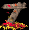 7_mb.gif