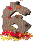 6_mc.gif